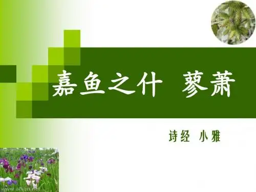 蓼彼萧斯零露湑兮既见君子-蓼萧诗经