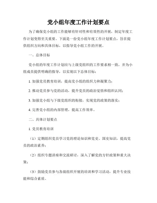党小组年度工作计划要点