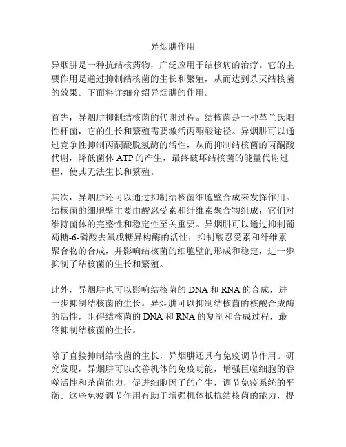 异烟肼作用