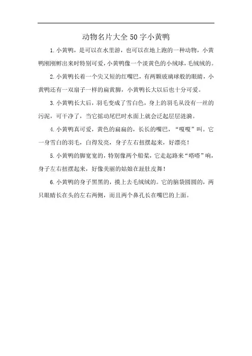 动物名片大全50字小黄鸭