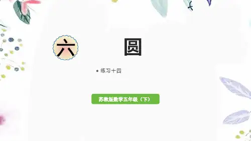 苏教版数学五年级(下册)圆 练习十四