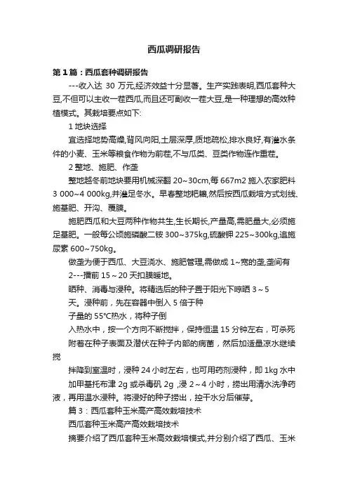 西瓜调研报告