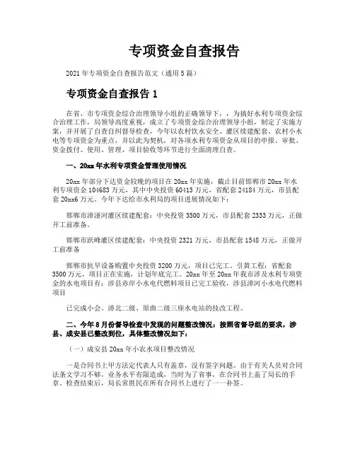 专项资金自查报告