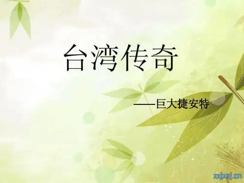 捷安特宏观分析