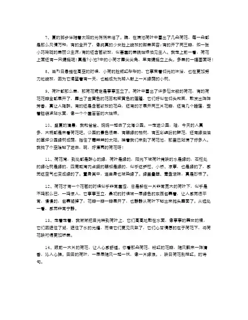 描写夏天荷花的好段