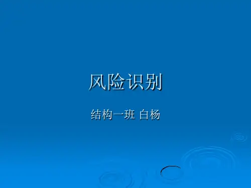风险识别PPT