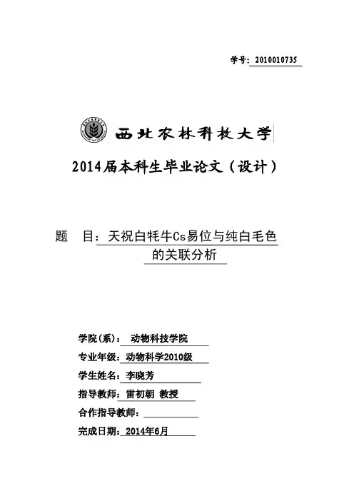 天祝白耗牛Cs易位与纯白毛色的关联分析