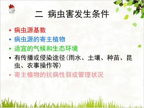香蕉病虫害防治技术PPT.