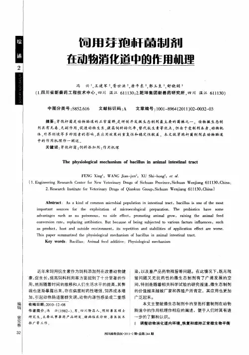 饲用芽孢杆菌制剂在动物消化道中的作用机理