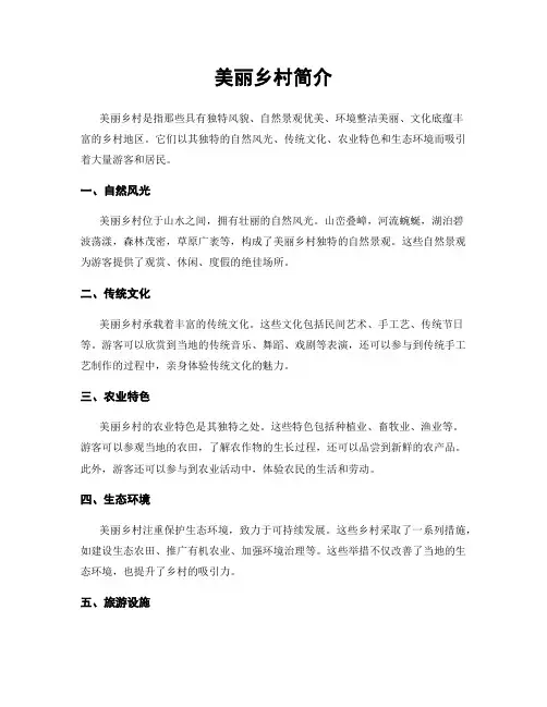 美丽乡村简介