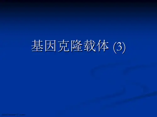 基因克隆载体 (3)PPT课件