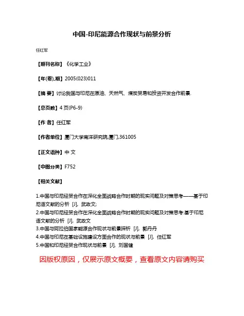 中国-印尼能源合作现状与前景分析