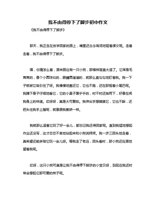 我不由得停下了脚步初中作文