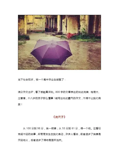2019年高考满分作文《说尺子》