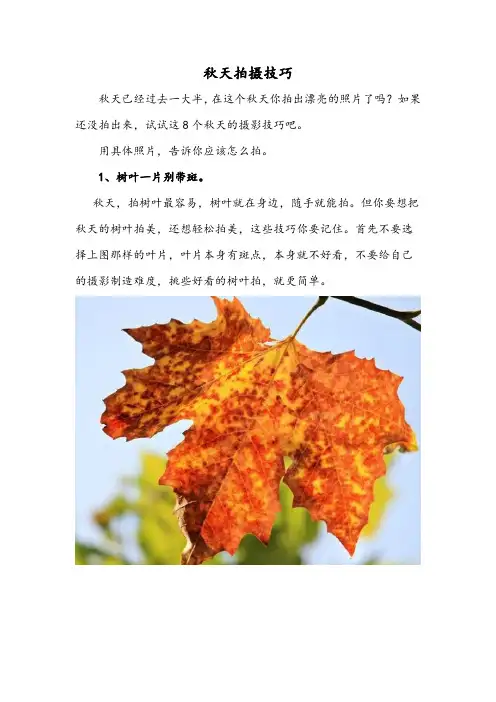 秋天拍摄技巧
