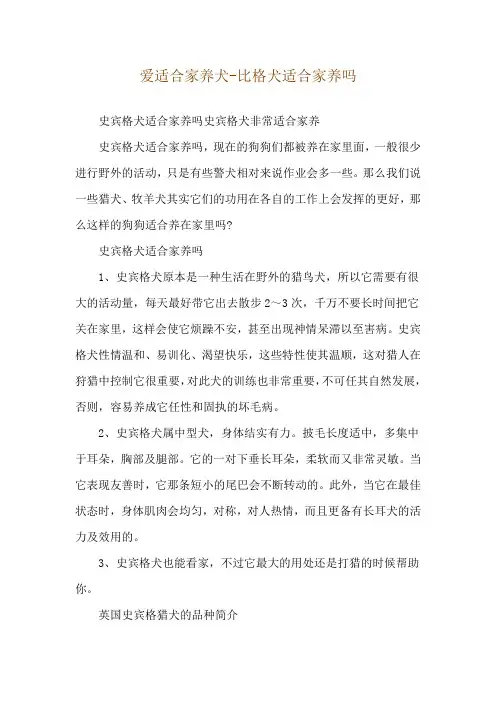 爱适合家养犬-比格犬适合家养吗