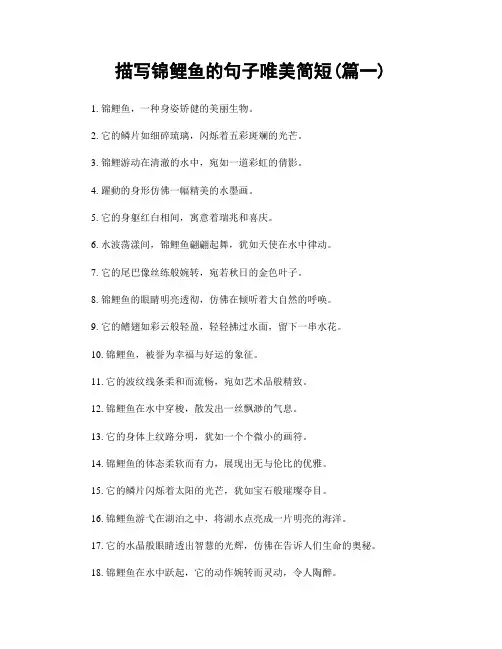 描写锦鲤鱼的句子唯美简短(精选2篇)