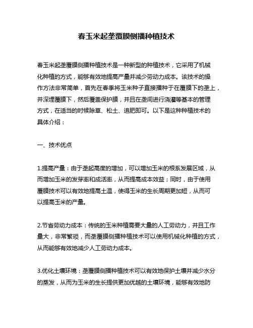 春玉米起垄覆膜侧播种植技术