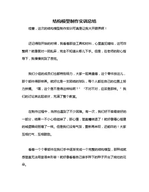 结构模型制作实训总结