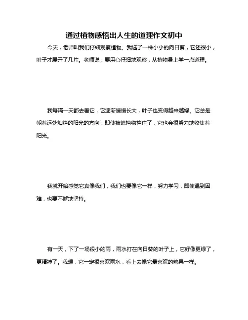通过植物感悟出人生的道理作文初中