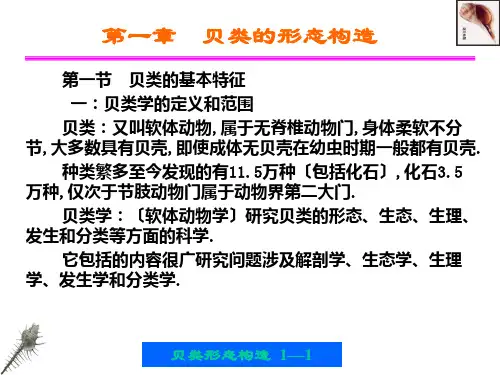 第一章贝类的形态构造ppt课件