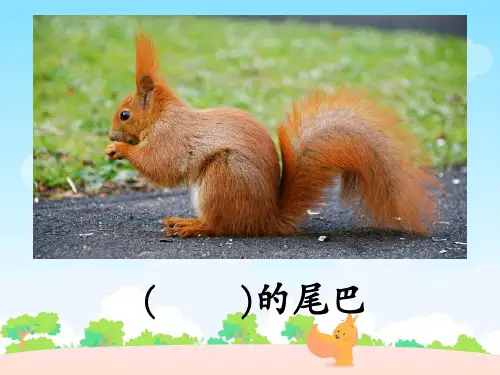 二年级上册语文-27 松鼠的尾巴丨沪教版(2015秋)(共27张PPT)PPT课件