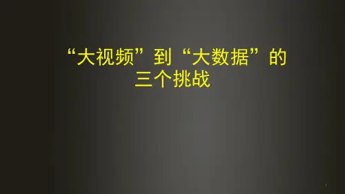 视频大数据的三个挑战