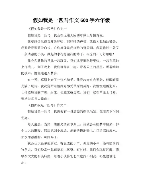 假如我是一匹马作文600字六年级