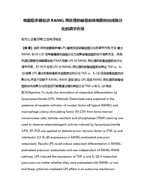 细菌脂多糖促进RANKL预处理的破骨前体细胞转向成熟分化的调节作用