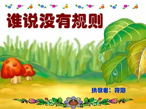 谁说没有规则