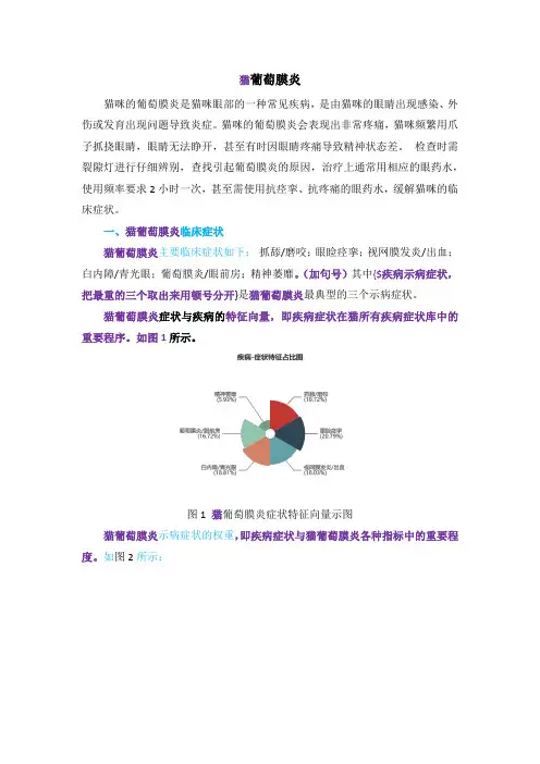 猫葡萄膜炎症状及治疗