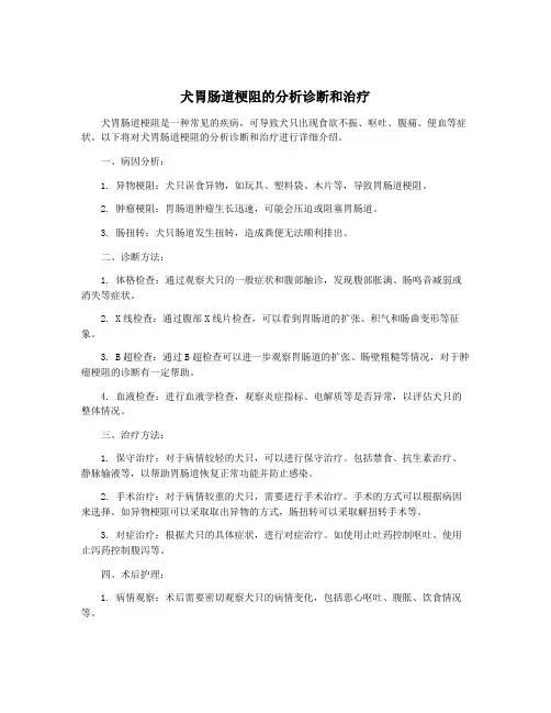 犬胃肠道梗阻的分析诊断和治疗