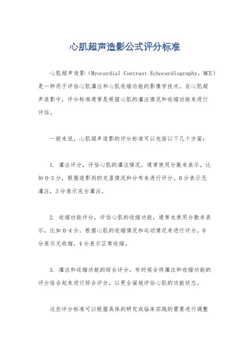 心肌超声造影公式评分标准