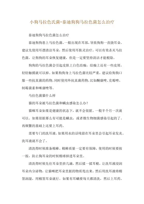 小狗马拉色氏菌-泰迪狗狗马拉色菌怎么治疗
