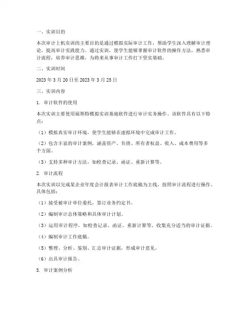 审计上机_实训报告