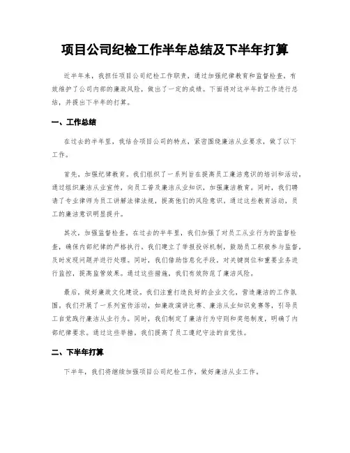 项目公司纪检工作半年总结及下半年打算