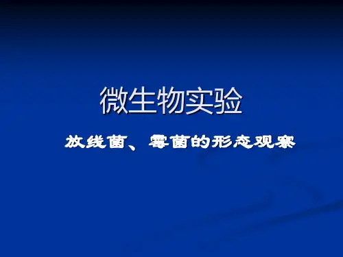 06-放线菌及霉菌形态观察