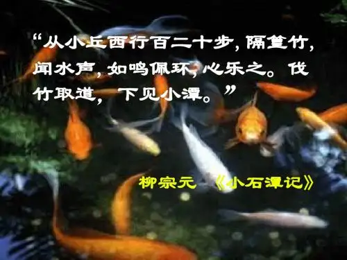 《始得西山宴游记》课件
