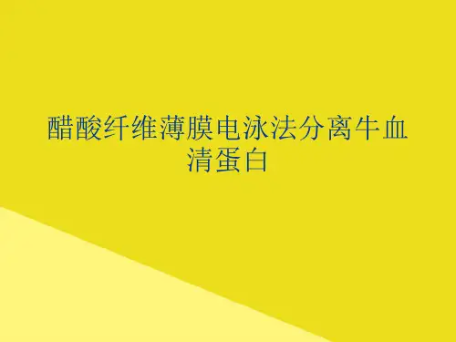 醋酸纤维薄膜电泳法分离牛血清蛋白PPT资料(正式版)