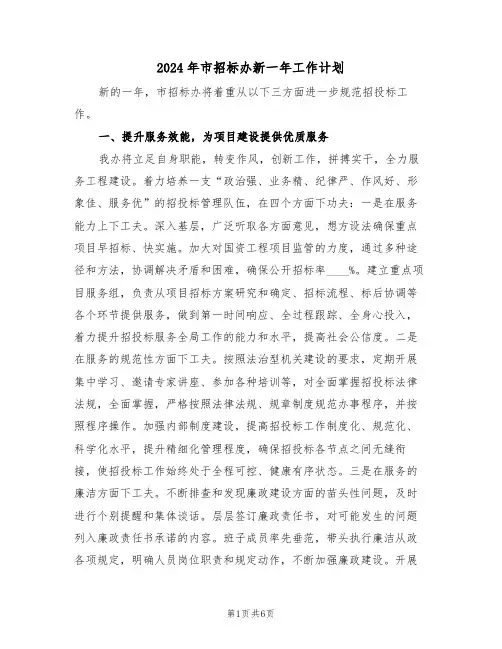 2024年市招标办新一年工作计划（二篇）