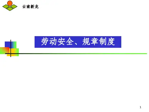 公司规章制度劳动纪律PPT参考幻灯片