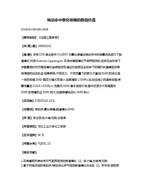 喷动床中雾化喷嘴的数值仿真