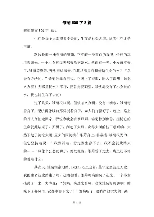 雏菊500字8篇