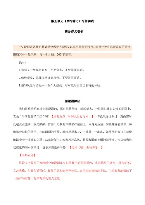 2024年初中语文专题【同步作文课】2024-2025学年八年级语文下册单元写作深度指导(统编版)