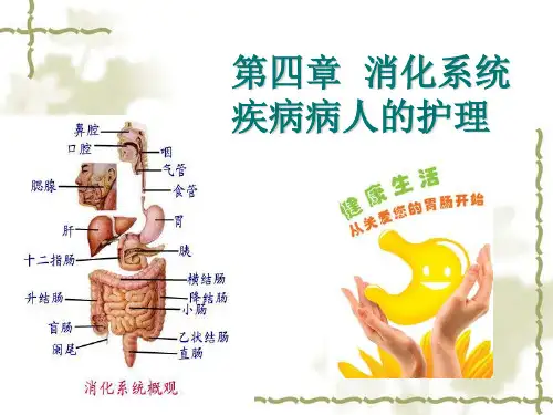 第四章第一节__概述消化系统疾病护理