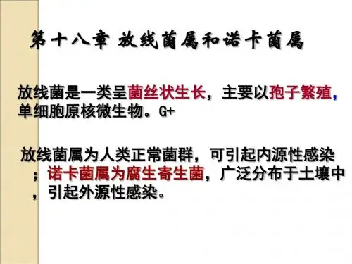 放线菌、支原体、立克次体、衣原体