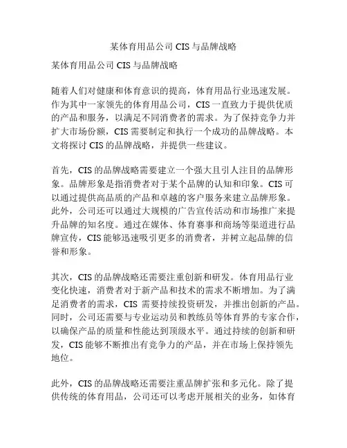 某体育用品公司CIS与品牌战略