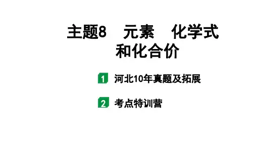 2023年河北省中考化学总复习一轮复习：主题8  元素 化学式和化合价