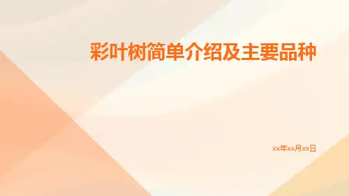 彩叶树简单介绍及主要品种