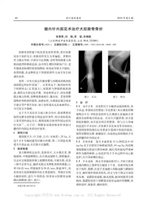 髓内针内固定术治疗犬胫腓骨骨折